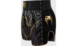 Venum Serpenti Muay Thai Shorts - Black/Silver/Gold