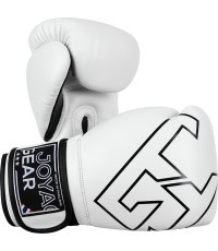 Joya Strike Kickboxing gloves white