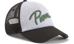 Puma Ess+ Trucker Cap Grey 025120 01