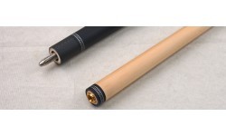 Buffalo Ionics pool cue 1