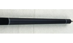 Buffalo Ionics pool cue 1