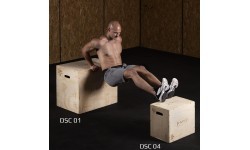 DSC01 PLYOMETRIC CHEST HMS