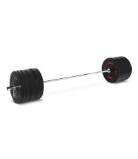 Pivot Fitness Pro Training Bumper Chrome Set 170 kg