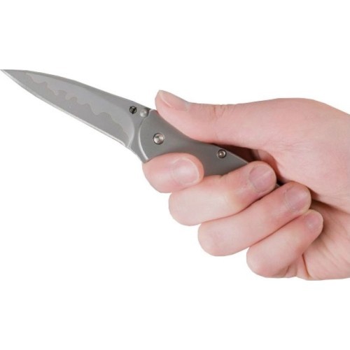 Folding Knife Kershaw Leek 1660CB 