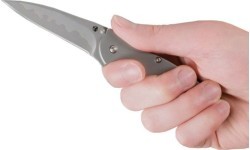 Folding Knife Kershaw Leek 1660CB 
