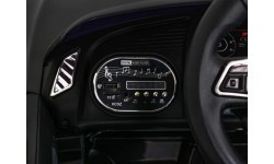 Vehicle Audi R8 Black