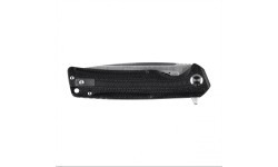 Folding Knife Ganzo Firebird FH91-BK