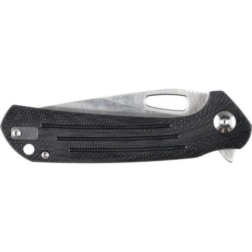 Folding Knife Ganzo Firebird FH921-BK