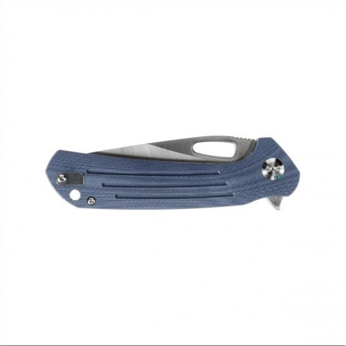 Ganzo Firebird Folding Knife FH921-GY