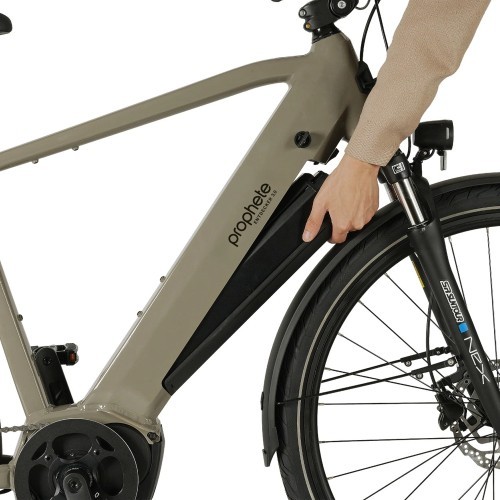 Prophete Entdecker 3.0 electric bike 28", 9-speed, frame size 21" (54 cm), brown