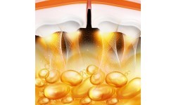 HHM21 HULA HOOP TPE WHITE/ORANGE MAGNETIC WITH WEIGHT + COUNTER HMS
