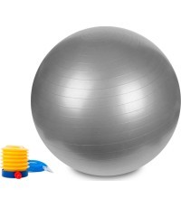 Hastings Gym Ball 55 cm Silver
