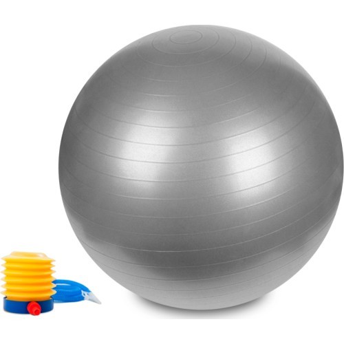 Hastings Gym Ball 55 cm Silver