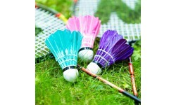 NRZ204 BADMINTON SET + COVER NILS