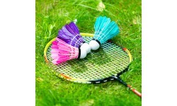 NRZ204 BADMINTON SET + COVER NILS
