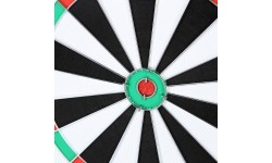 TDN05 2-in-1 DART NILS FUN