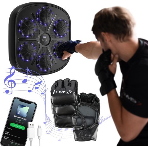 TB03 INTELLIGENT MUSIC BOXING MACHINE BLUETOOTH WITH GLOVES HMS
