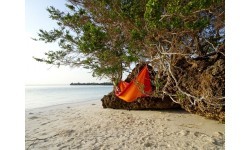 Az Hammock 'Adventure'