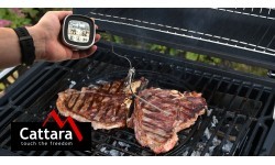 Digital grill thermometer with probe