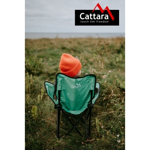 Small Camping Chair Cattara Frog