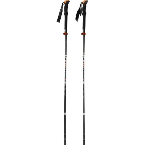 Folding Nordic Poles Yate Eagle