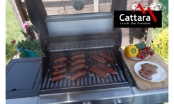 Gas grill WINDOW 3+1 mobile