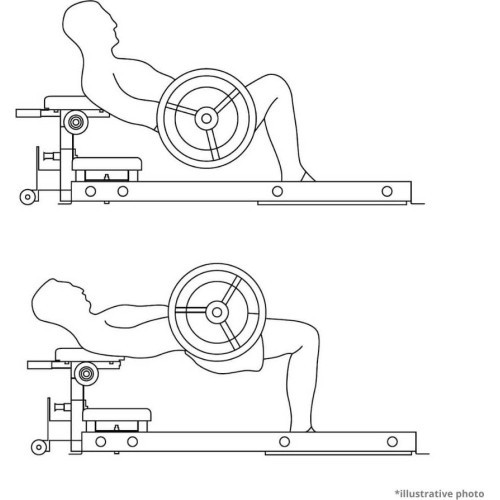 Hip Thrust Machine inSPORTline X-NT HT10 Hip Thrust