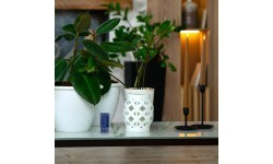 Aroma Cartridge for Massage Chair inSPORTline Cortela