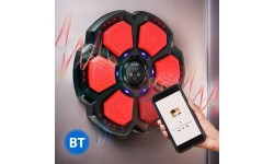 TB06 INTELLIGENT MUSIC BOXING MACHINE BLUETOOTH WITH GLOVES HMS