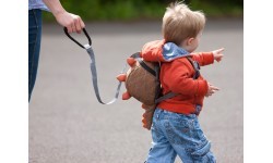 Littlelife Toddler Backpack Dinosaur