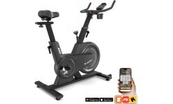 Exercise Bike inSPORTline ZenRoute 100