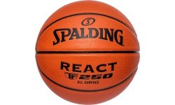 SPALDING REACT TF250™ (Size 5)