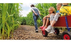 BERG Beach Wagon XL