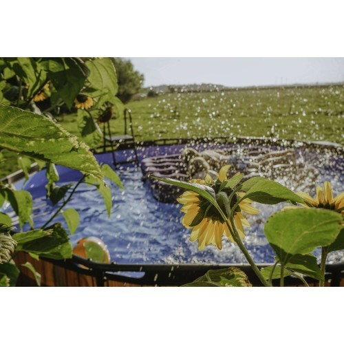 EXIT Wood pool ø427x122cm with filter pump - brown