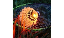 Badminton Set Talbot Torro Magic Night