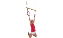 wooden ring trapeze with plastic ri