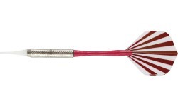 Winmau electronic dartboard Ton Machine Soft tip