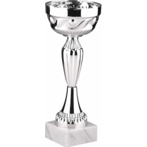 Trophy 9544 - 26cm - Silver