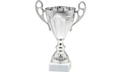 Кубок 9358 - 23cm - Серебристый