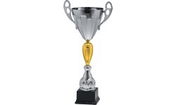 Trophy 10112 - 48cm - Silver