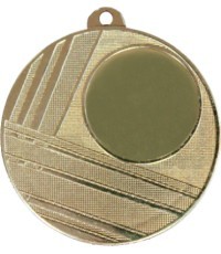 Medal 253 - 50 mm - Silver