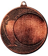 Medal ZB1605 - 70 mm - Bronza