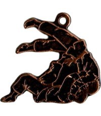 MTL815 Judo Medal - 60 mm - Bronza