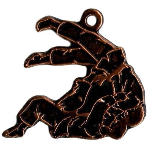 MTL815 Judo Medal - 60 mm - Bronza