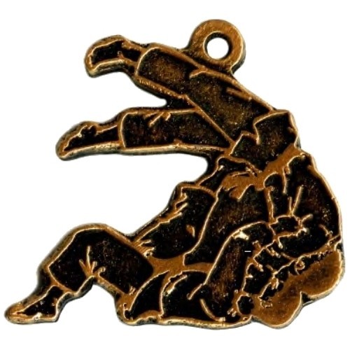 MTL815 Judo Medal - 60 mm - Gold