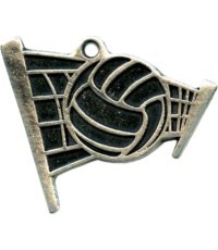 Medal MTL805 Volleyball - 55 mm - Silver