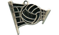 Medal MTL805 Volleyball - 55 mm - Silver