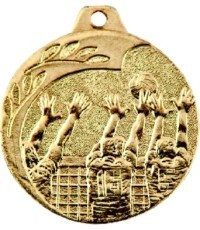 NP08 Volleyball Medal - 40 mm - Gold