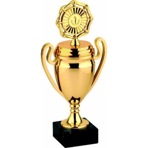 Trophy 9579 - 27cm - Gold