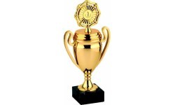 Trophy 9579 - 27cm - Gold